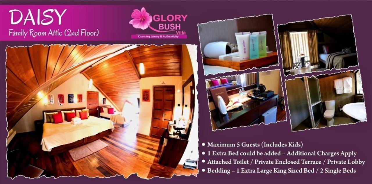 Glory Bush Boutique Villa Nuwara Eliya Exterior photo